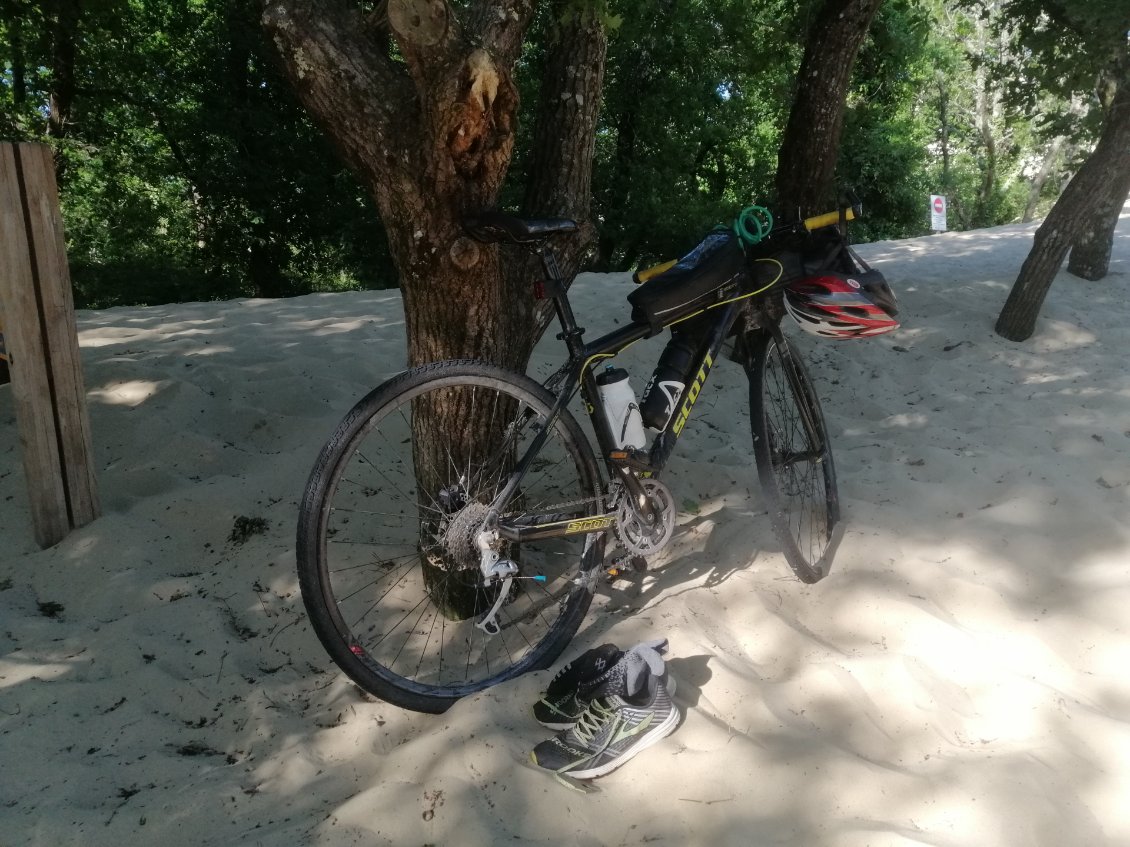 Mon fidèle destrier