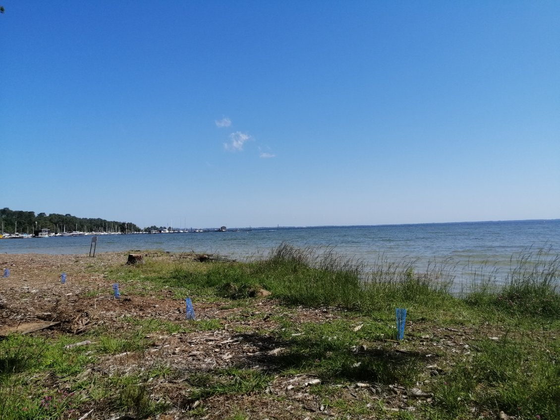 Etang de Cazaux et Sanguinet