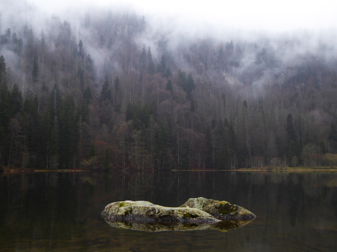 Ambiance à Feldsee