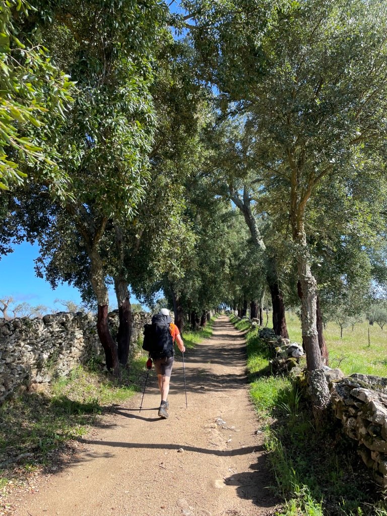 Le début des magnifiques chemins