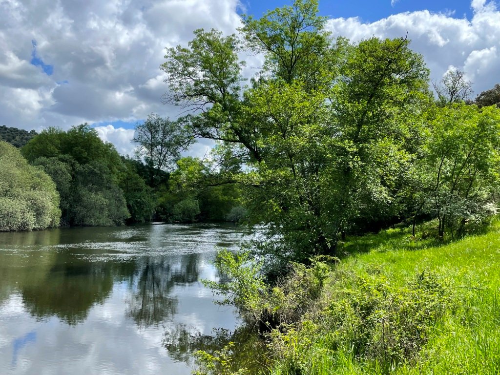 Sur la rive gauche du Rio Côa