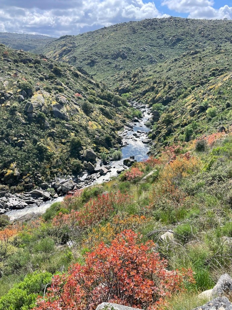 Les gorges du Rio Côa