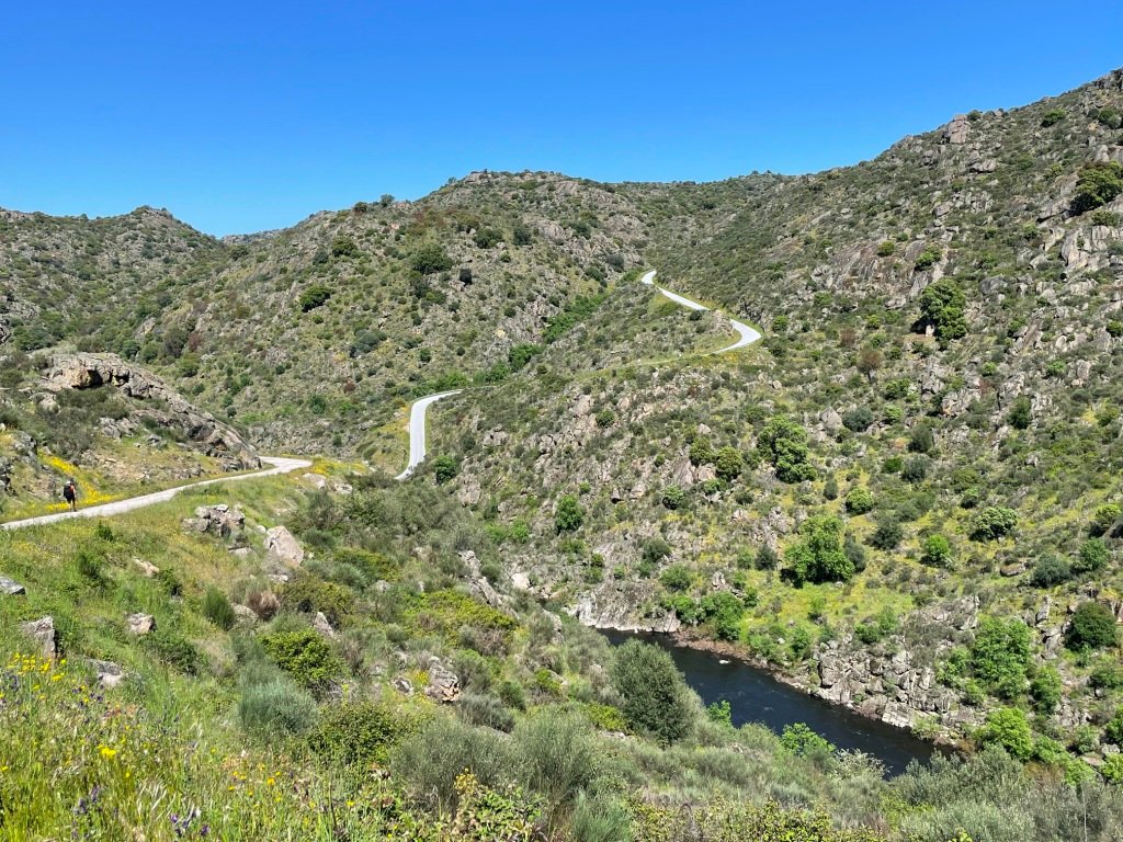 La route qui traverse la réserve de Faia Brava