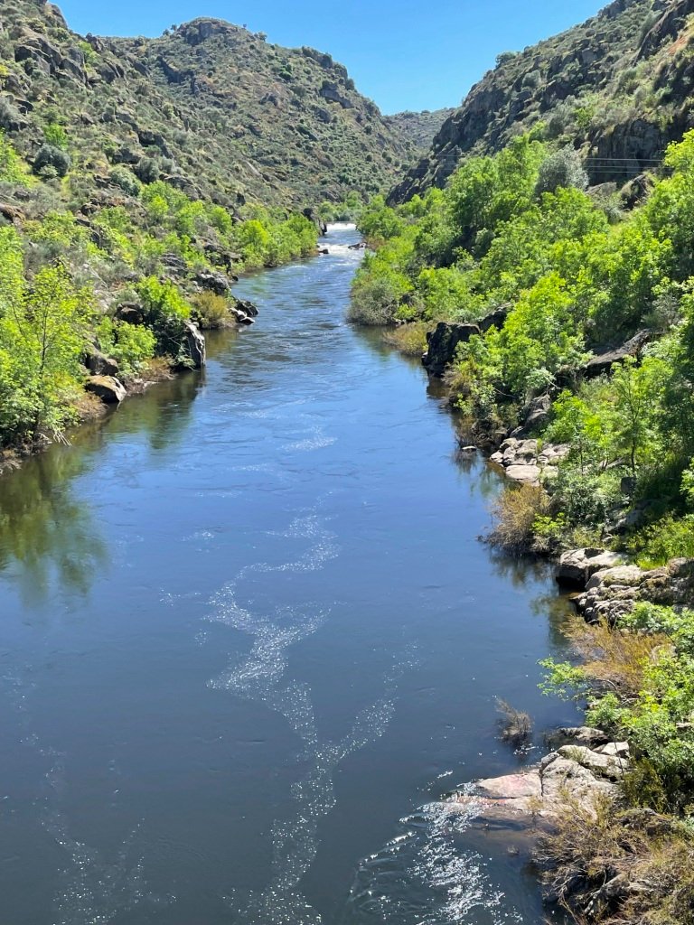Pont sur le Rio Côa