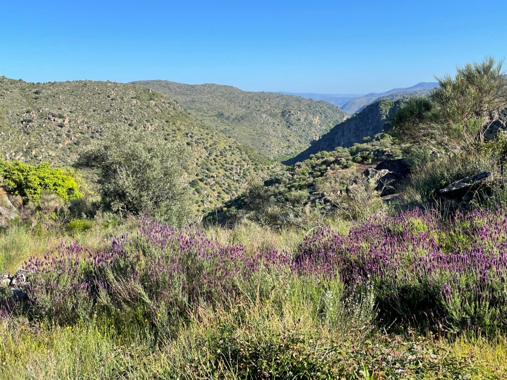 Vue sur les gorges du Rio Côa