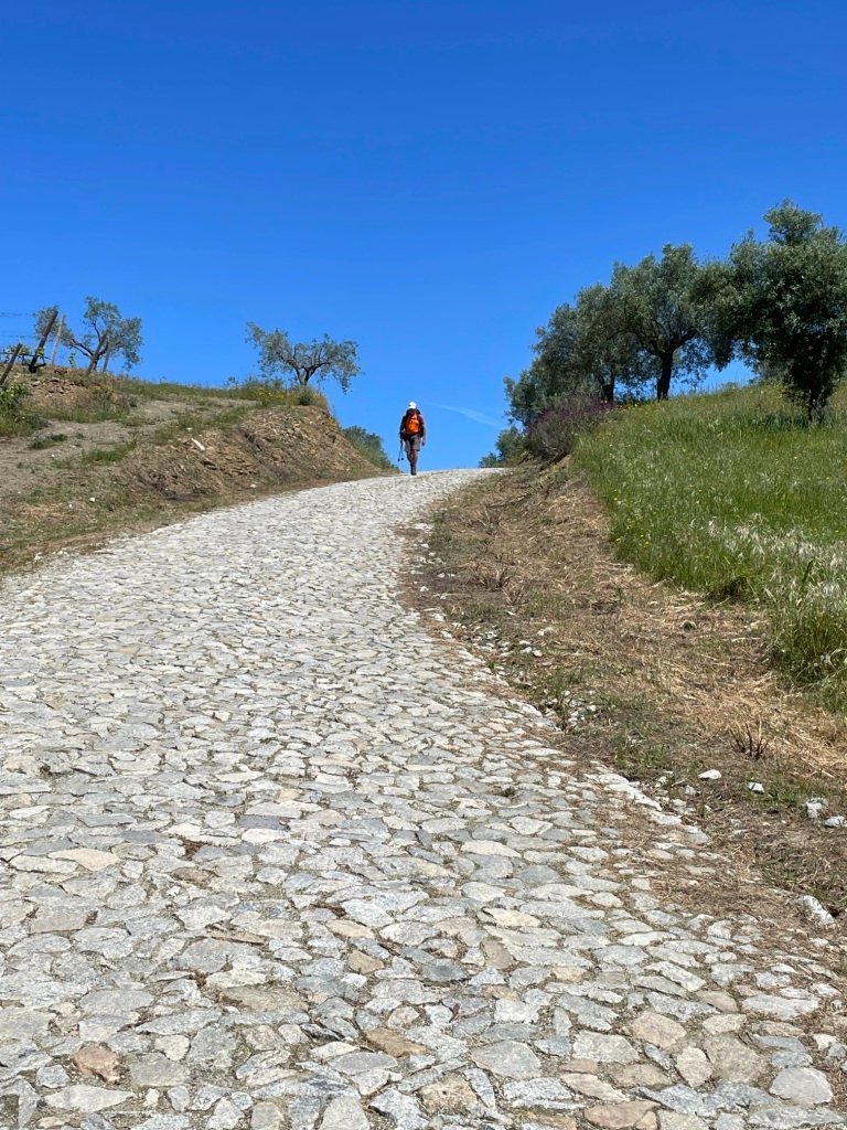 Avant de rejoindre la route nationale