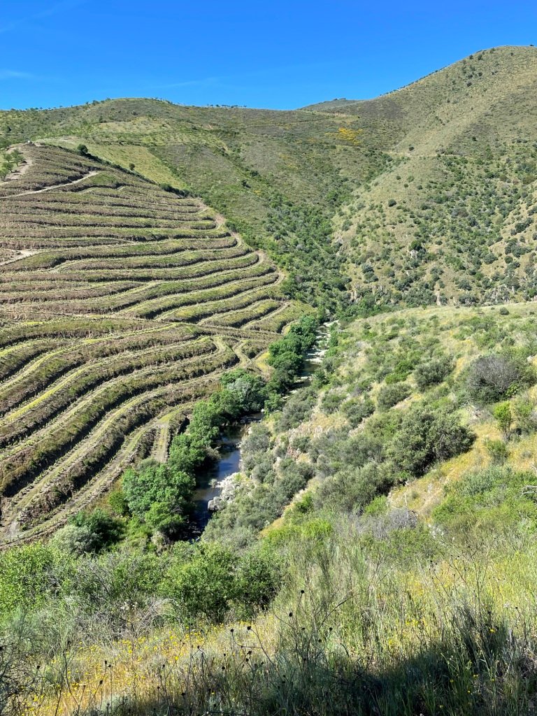 Traversée de la Quinta Da Leda