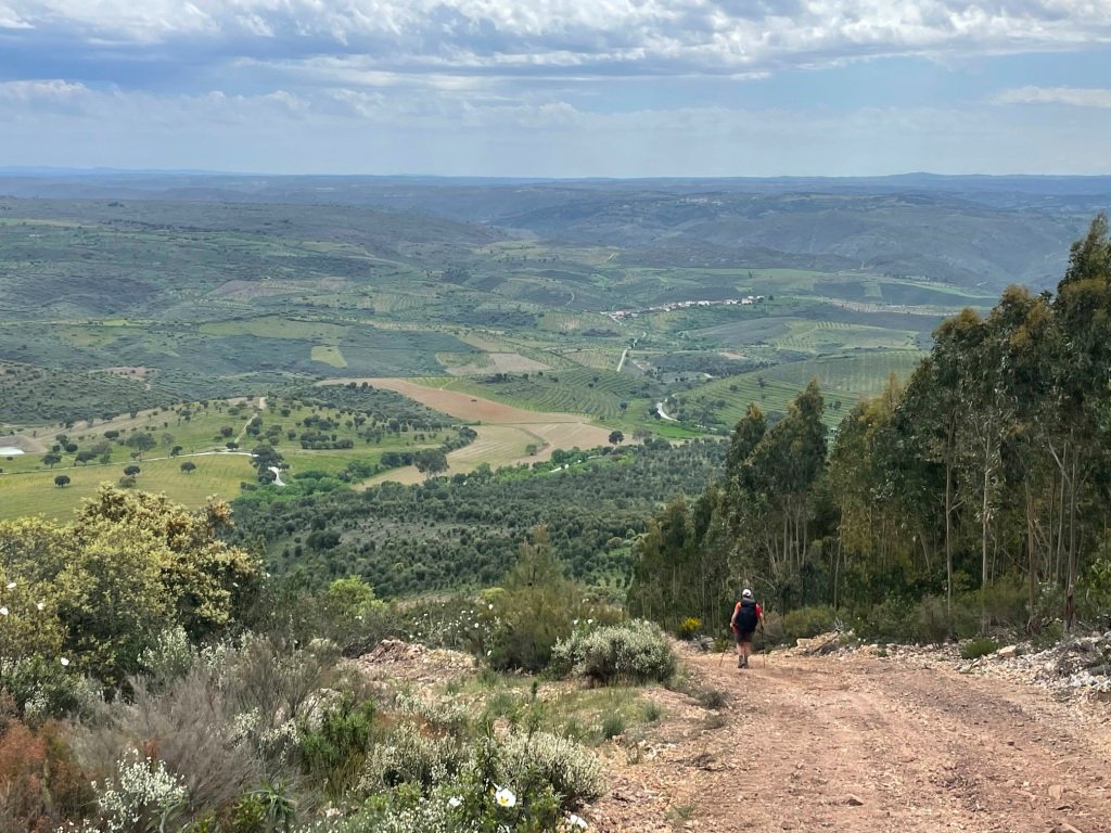 Descente par la piste forestière