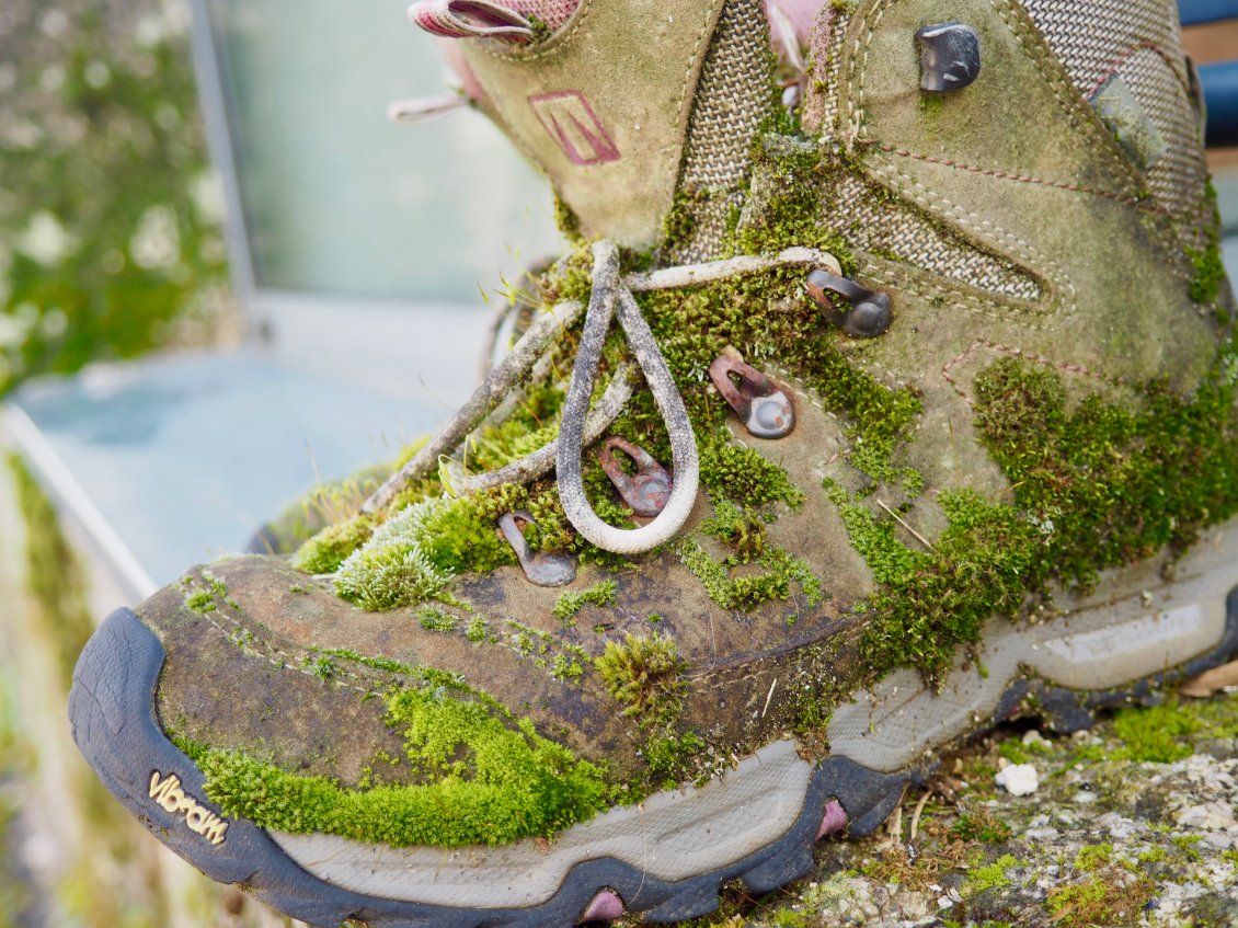 Le bel avenir des bottes d’Ada.