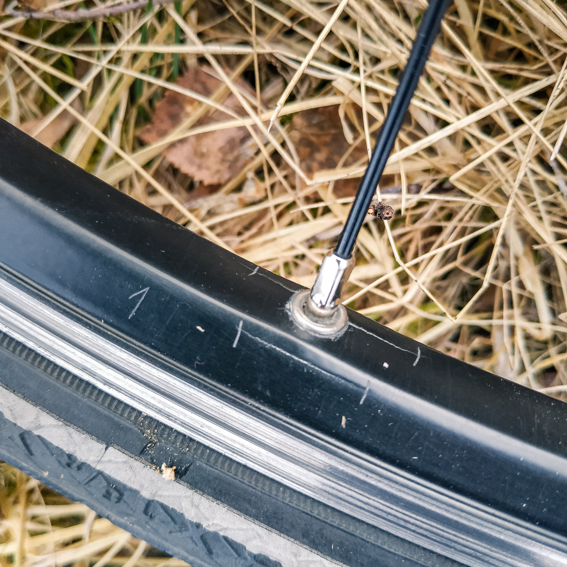 Jantes trop fragiles vs roues robustes. Photos : Marine et Gabriel
