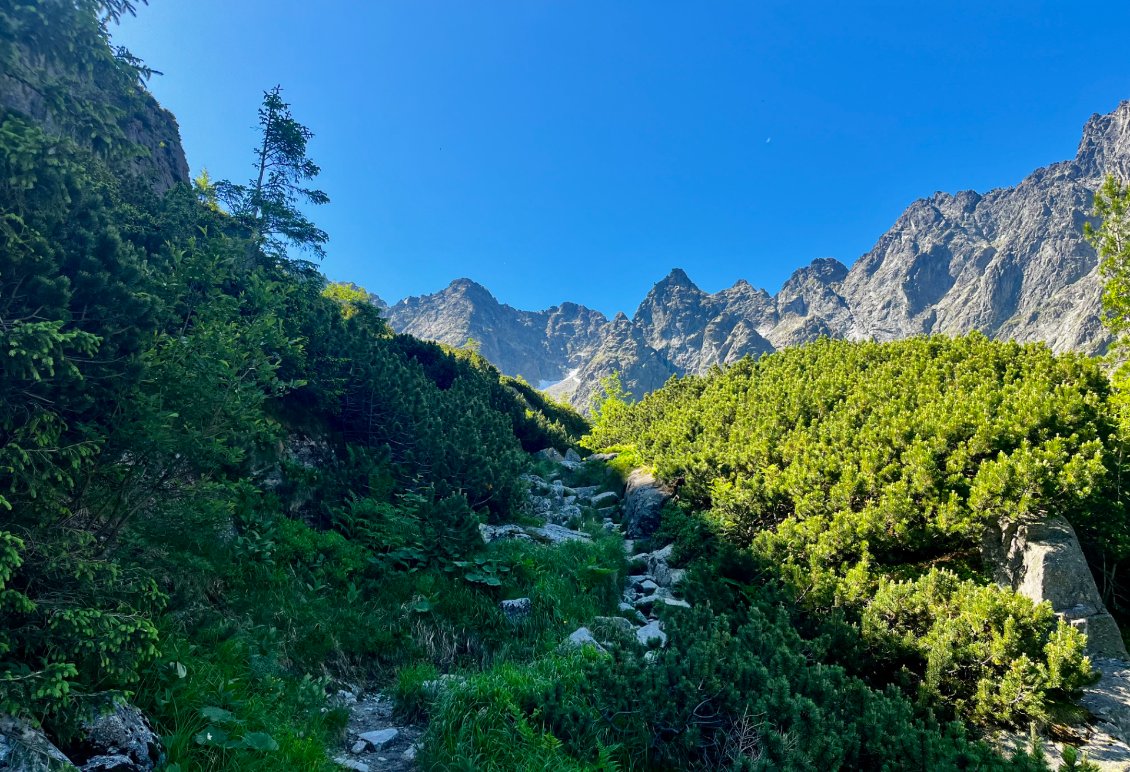 Cap sur les crêtes.