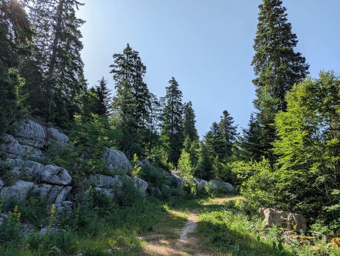 En arrivant sur le haut du plateau