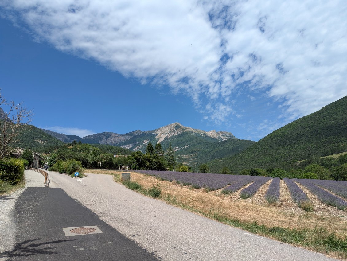 Retour au pays des Lavandes, au pied de la forteresse