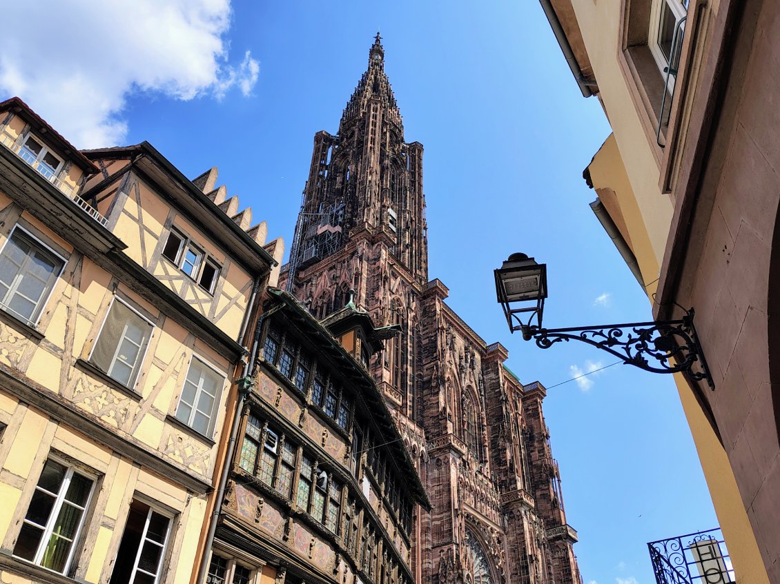 J4. La cathédrale. Strasbourg est une belle ville. En revanche le centre-ville est légèrement trop touristique à mon goût.