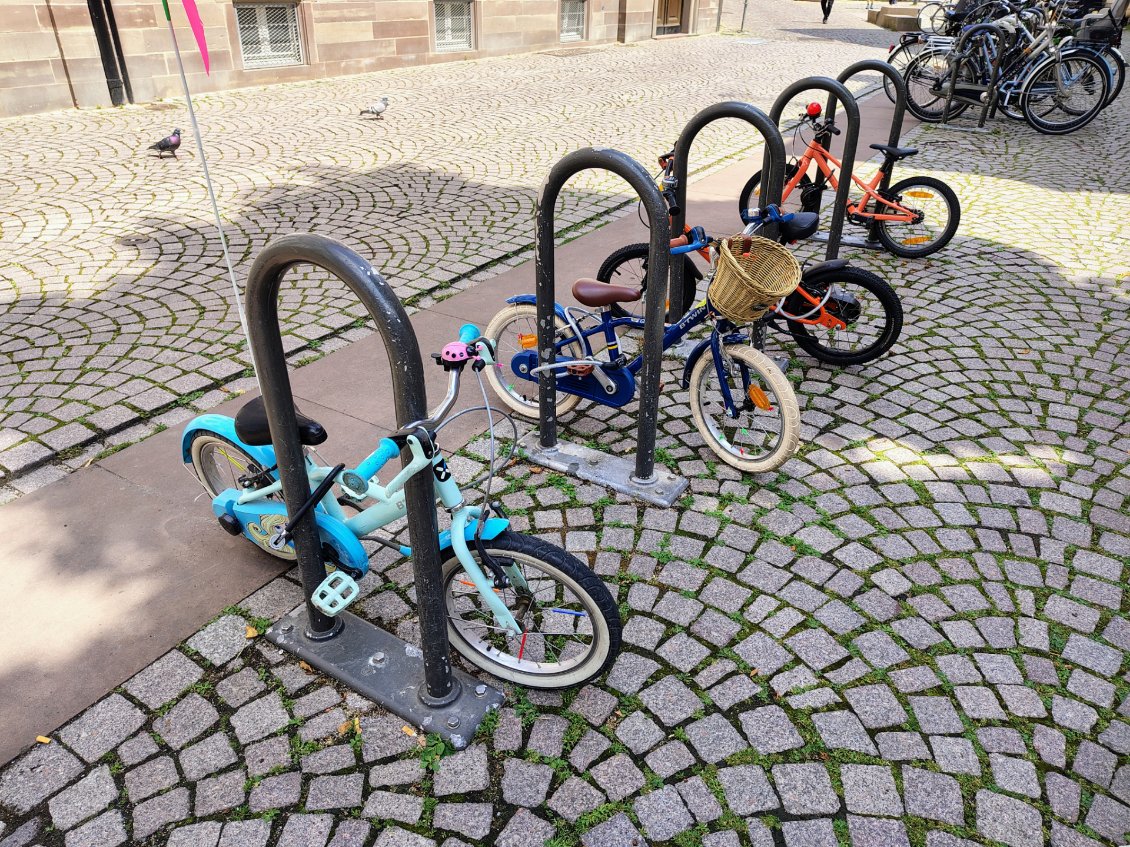 J4. Stationnement des vélos dans la rue devant une école. Trop mignon.