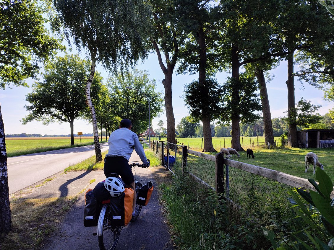J29. J'aime le nord de l'Allemagne, la quiétude de ses petites villes, des maisons pleines de charme, et une campagne agréable.