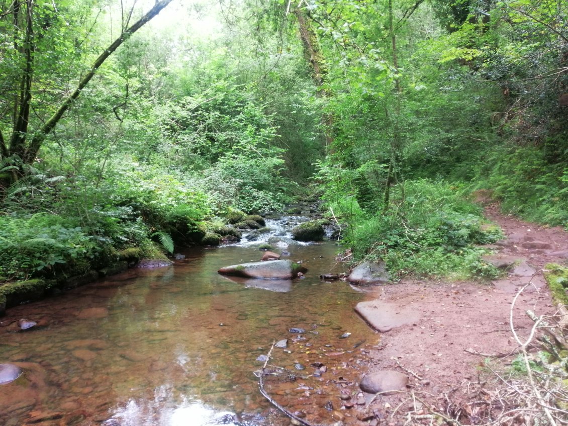 Ambiance bucolique