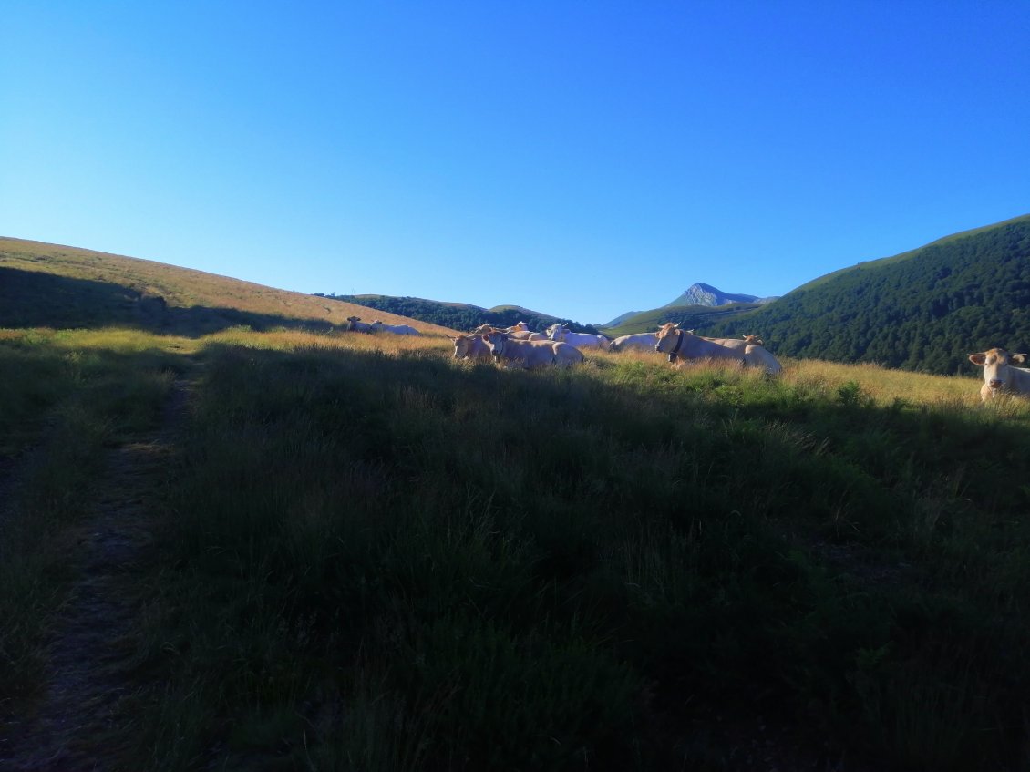 Non loin des chalets d'Iraty