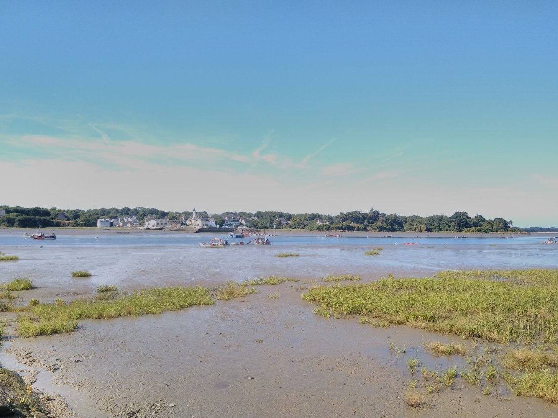 Estuaire de la Vilaine