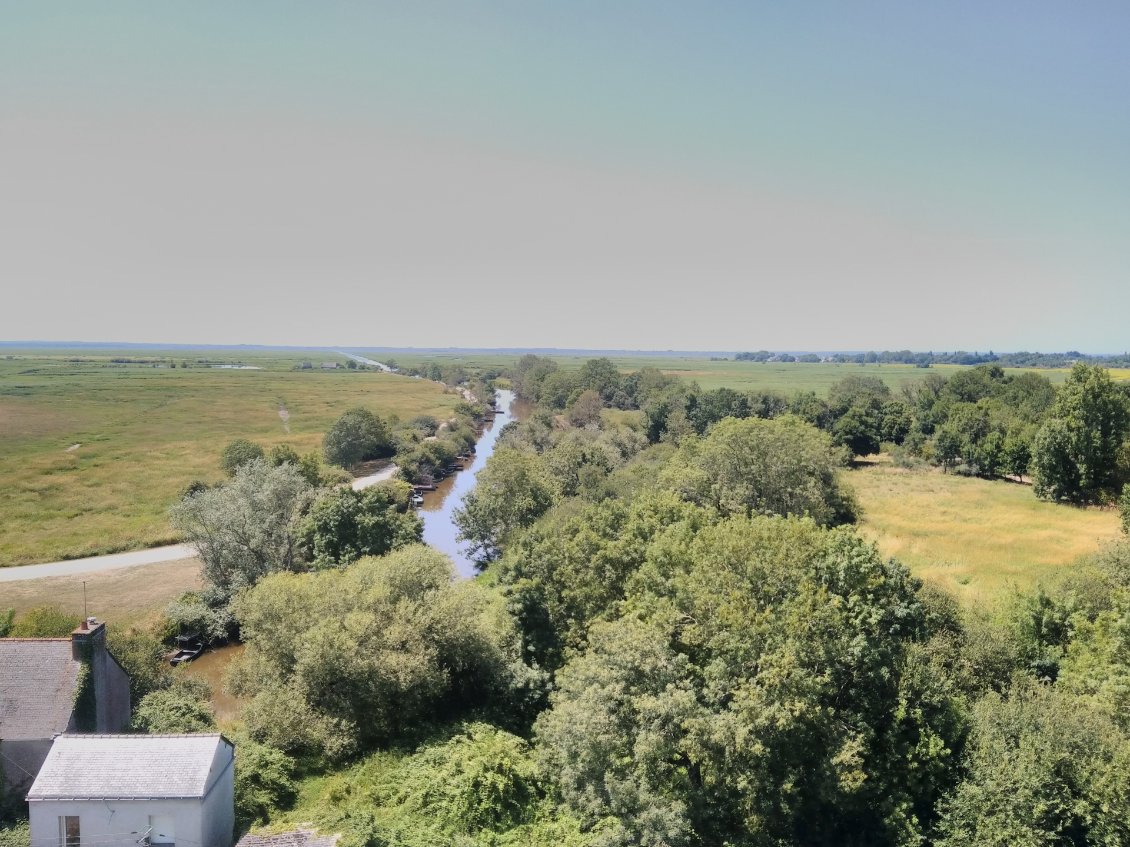 Vue sur la Brière depuis le belvédère de Port Rozé