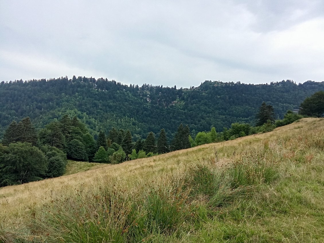 Col de Fitté