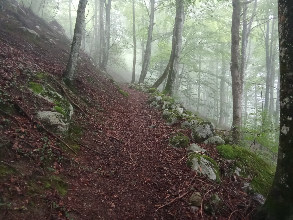 Montée vers Coumebière
