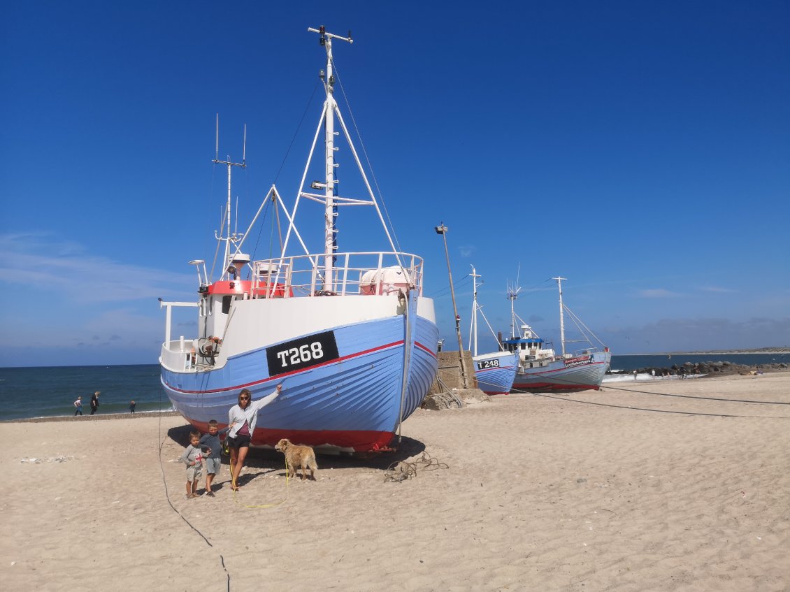 Telle une baleine sur la plage, mais comment les remettre à l'eau ?