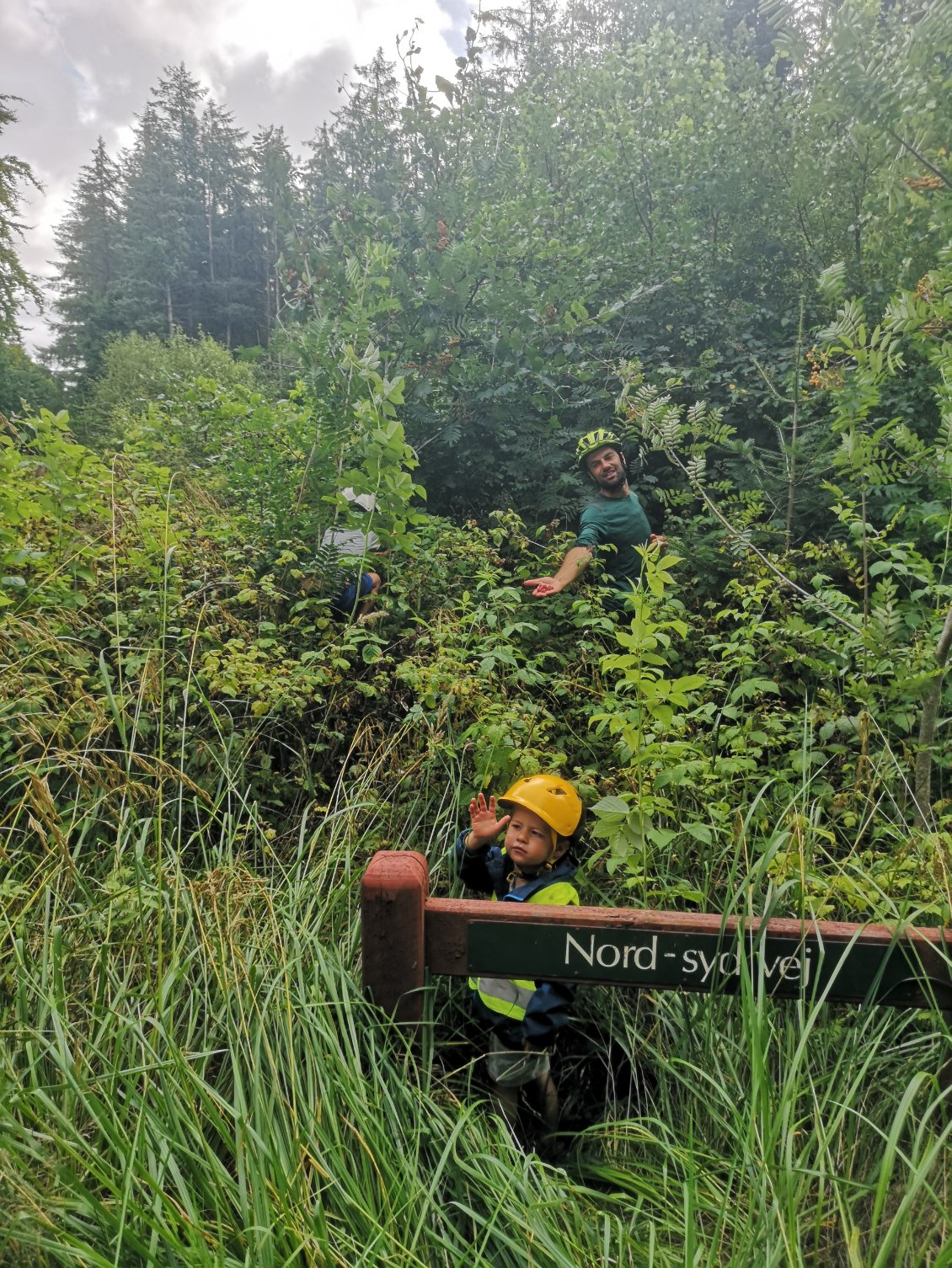 Le buisson impossible à finir.