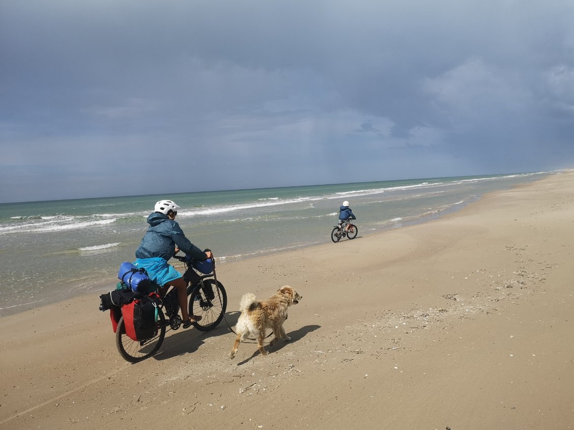 Scotchés à la plage avec un bon vent de face