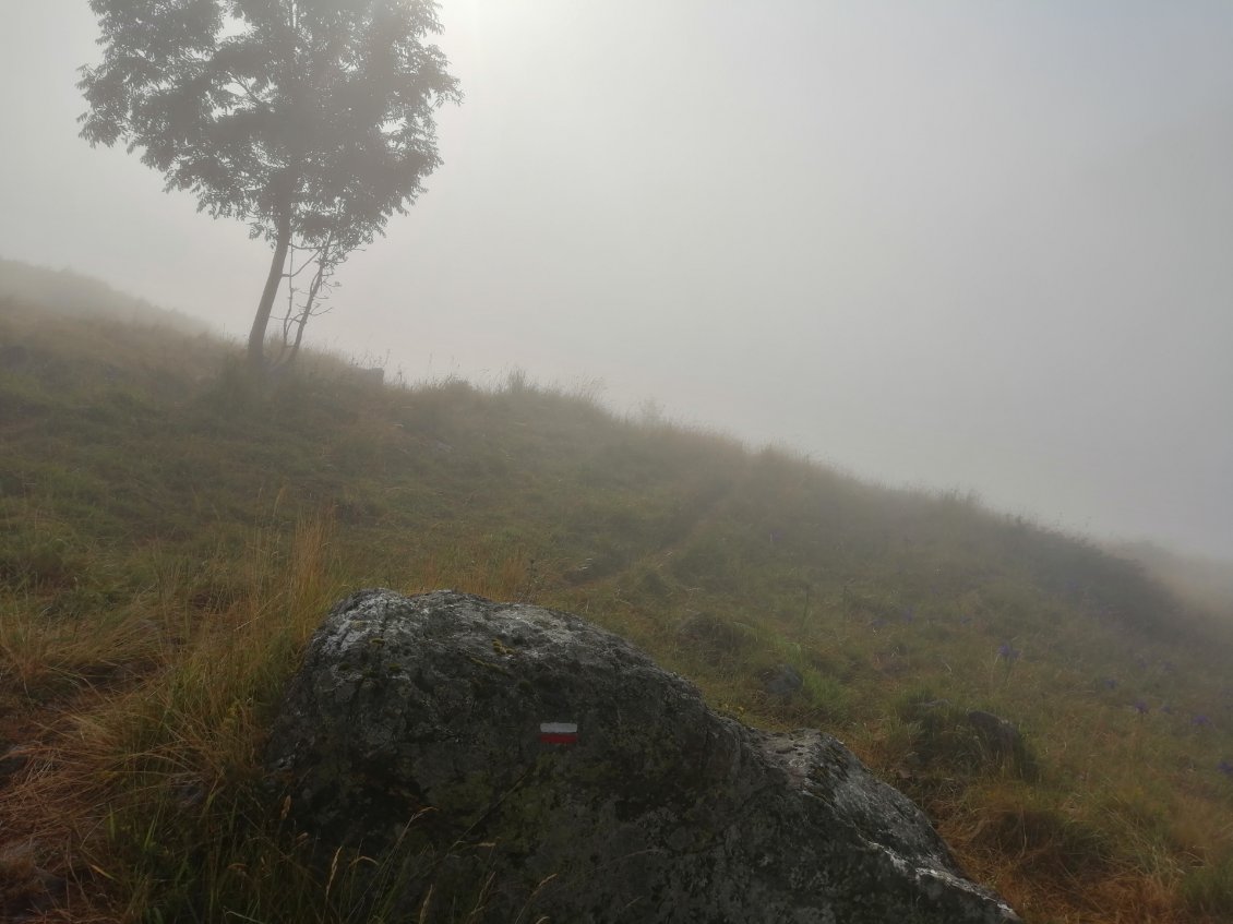 Pour arrivé dans les nuages