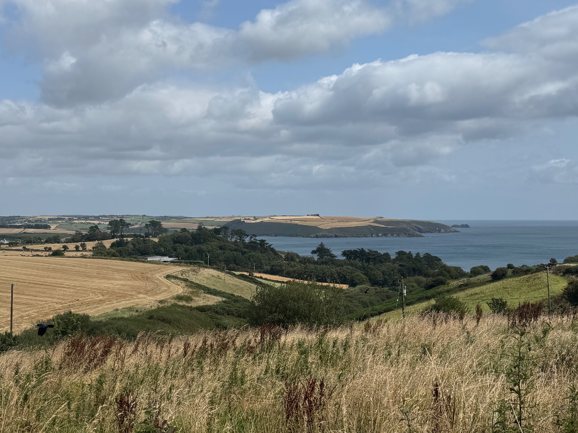 Pas si vert que cela l’Irlande 🤣