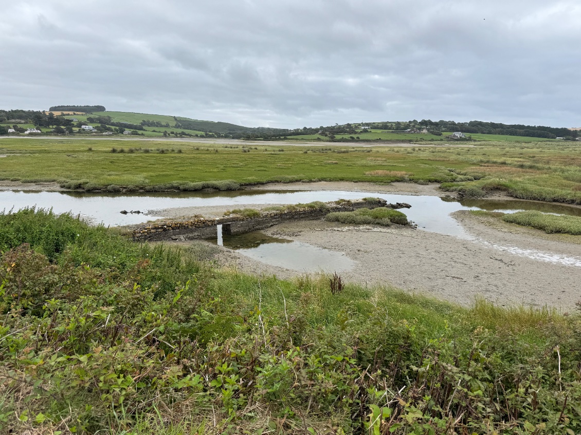 Muret dans l’estuaire, pour canaliser ?