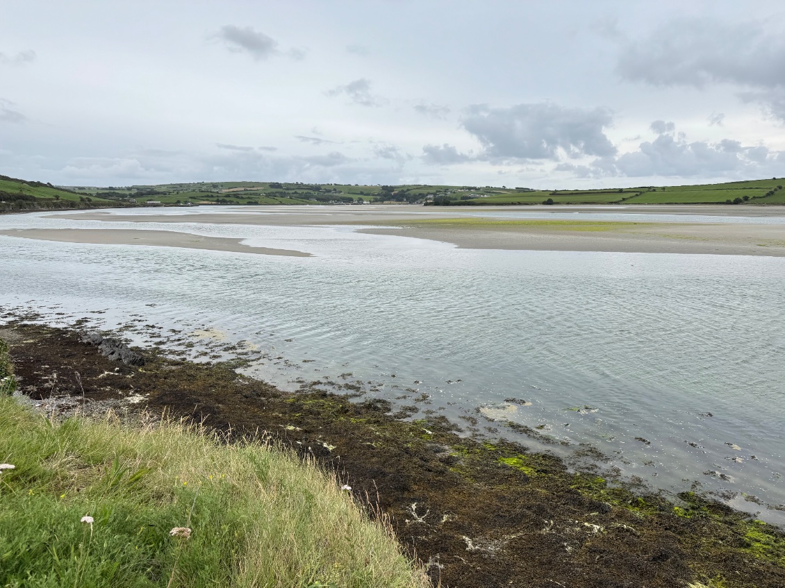 L’ estuaire est large et plein d’oiseaux