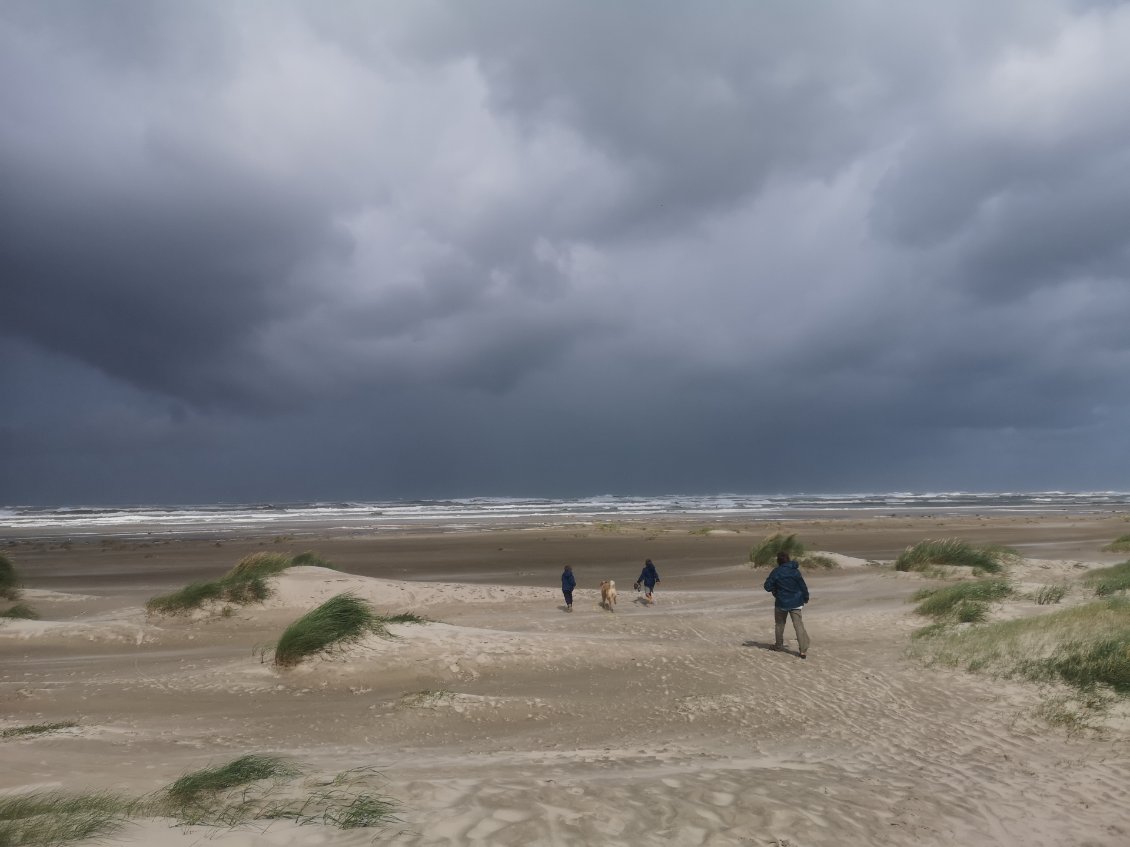 La tempête Floris