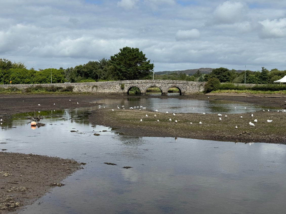 Vieux pont dans l'estuaire de Ballydehob