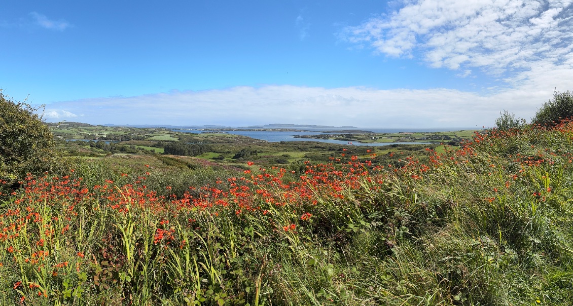 vue sur Long Island Bay, avec Cape Clear Island