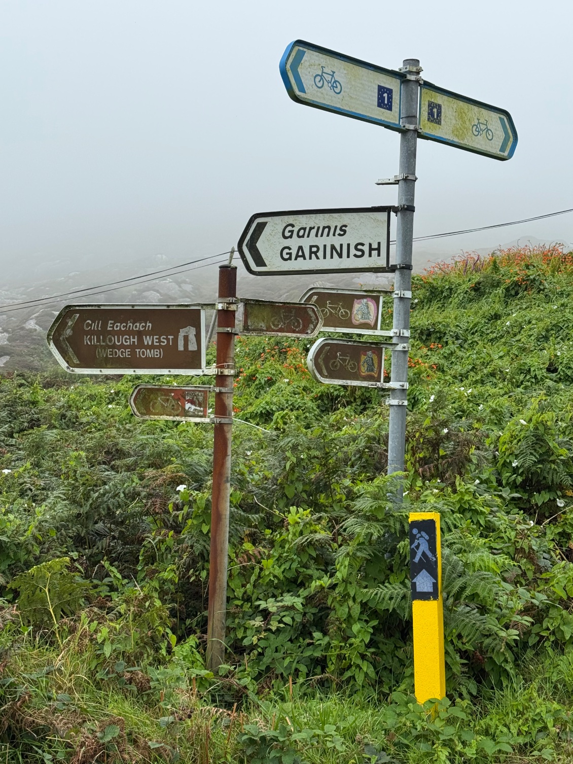 On avait prévu d’aller vers Garinish demain