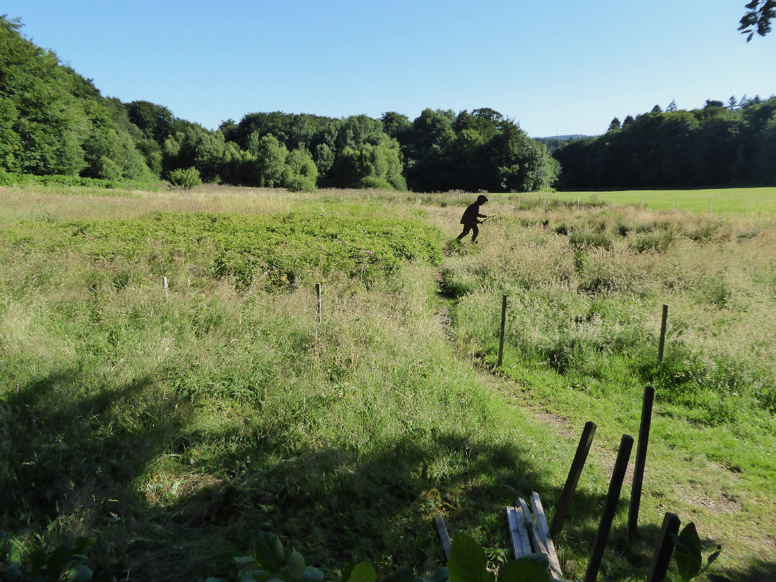 Sources de l'Yonne