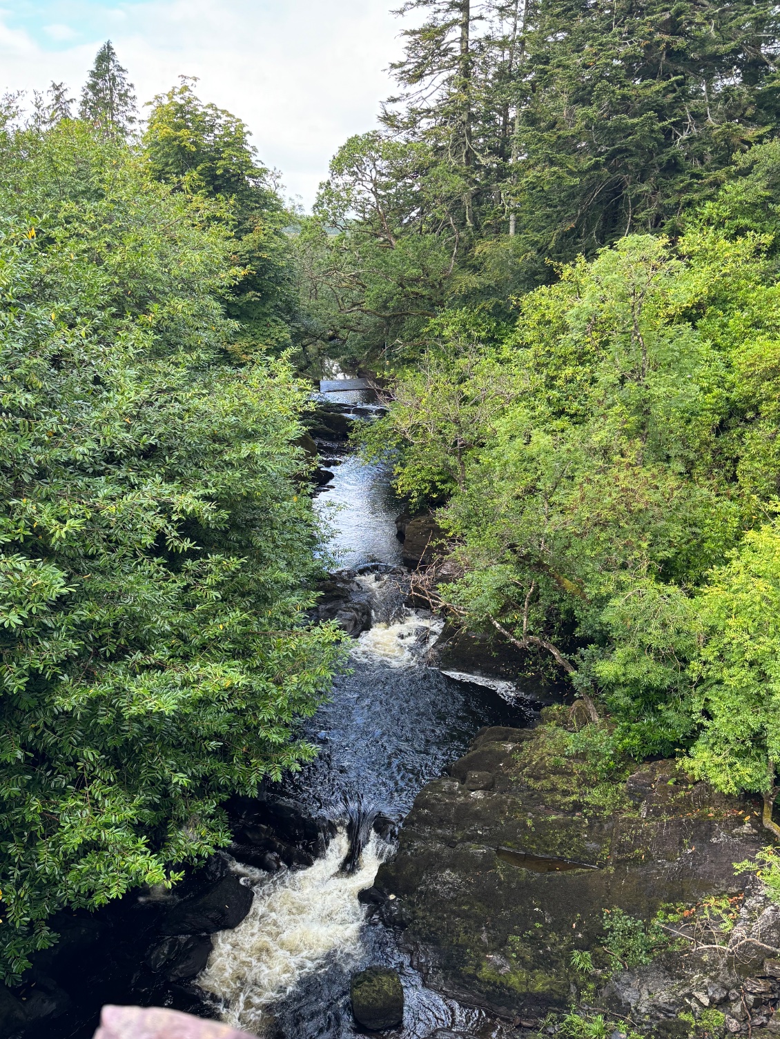 La cascade en amont du pont Black Water