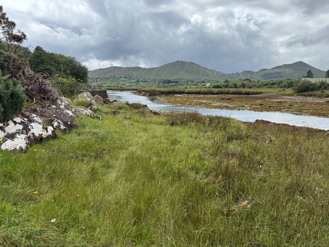 Une belle vue de la baie depuis notre aire de pique nique