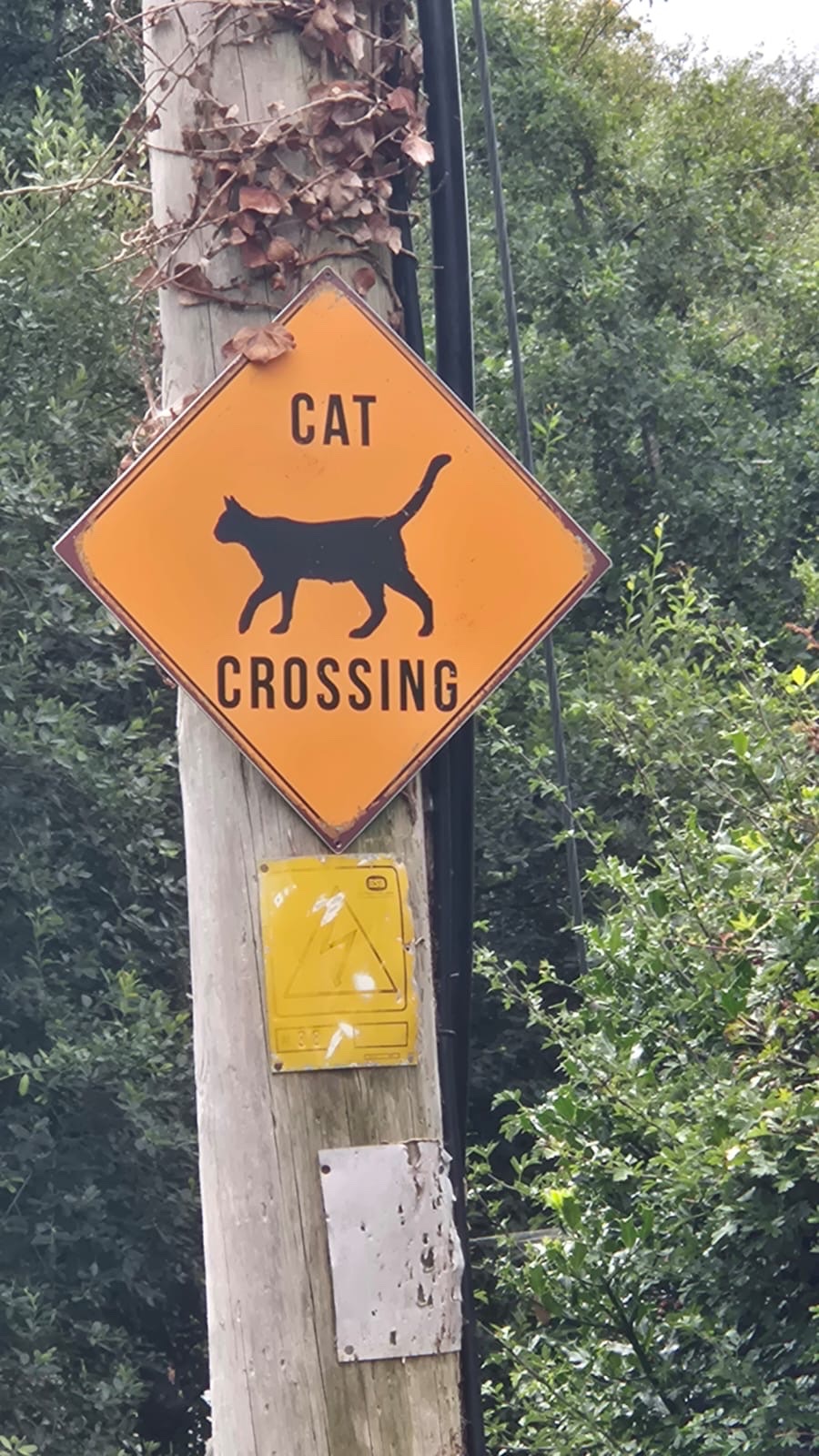 Panneau à généraliser ?