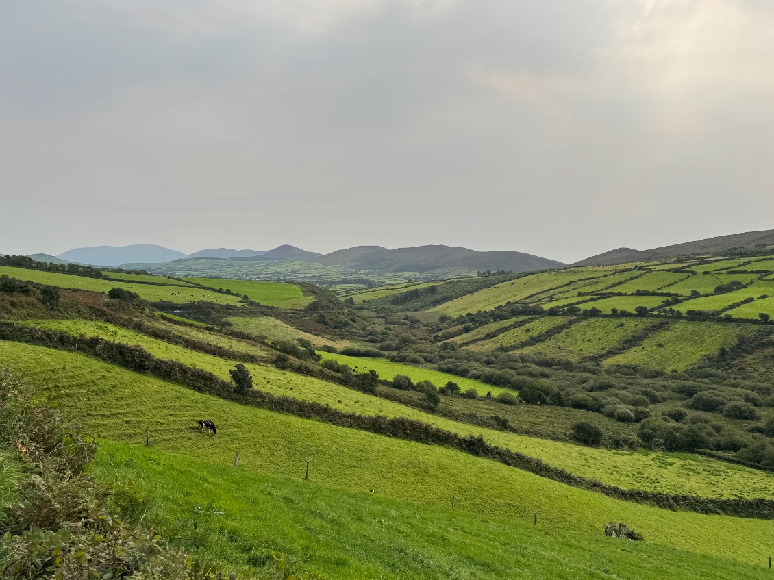 L’intérieur des terres de la péninsule de Dingle, au fond les montagnes de Killarney