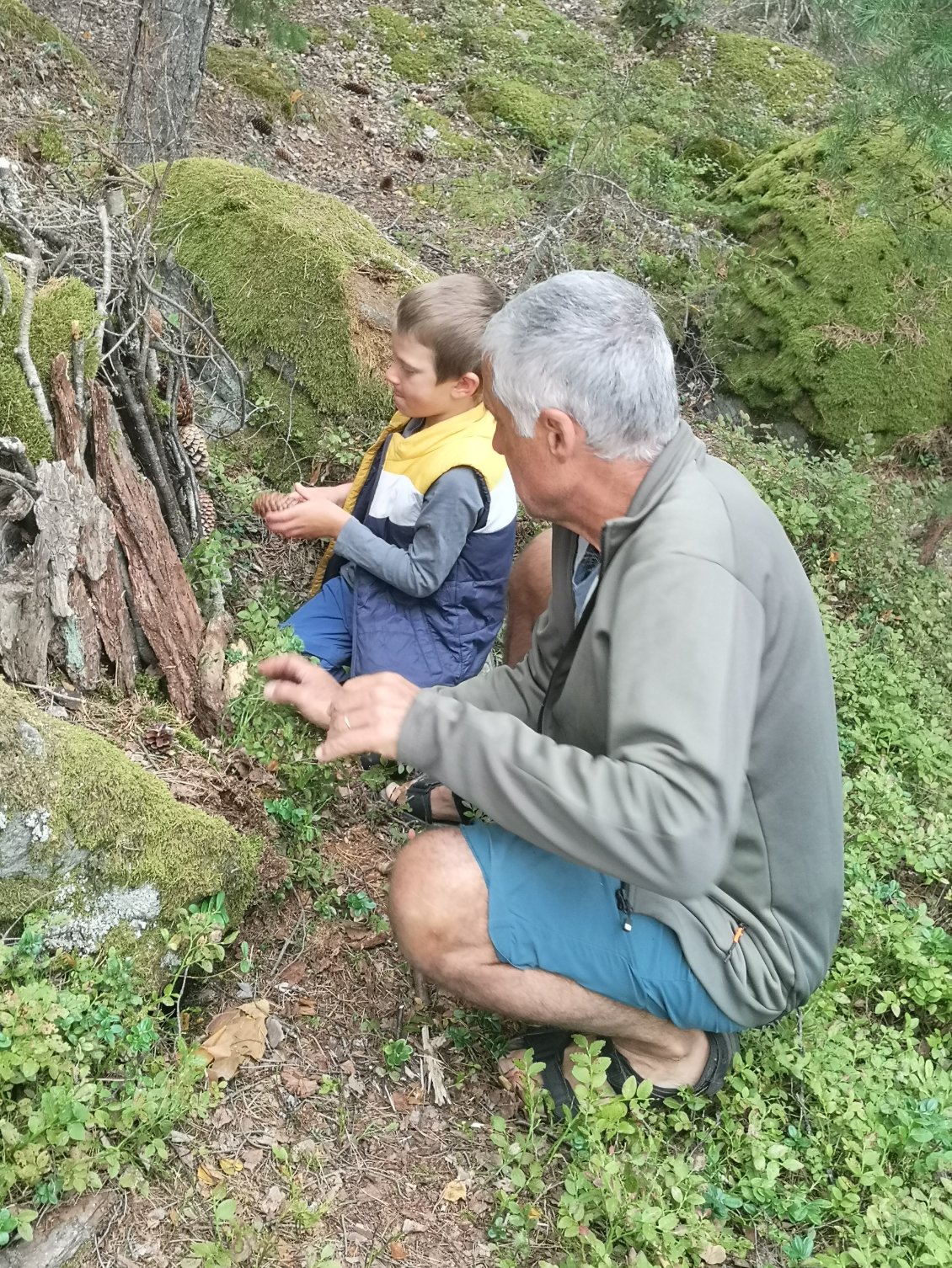 Cabane à doudou numéro 20602