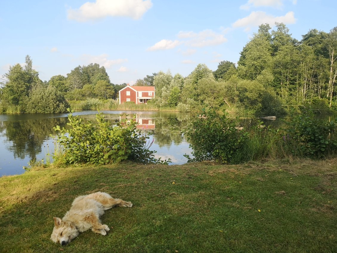 Spot du soir