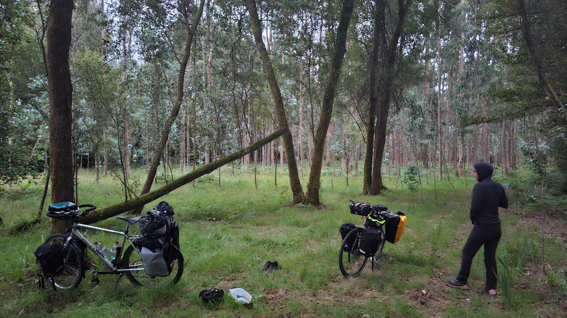 Bivouac