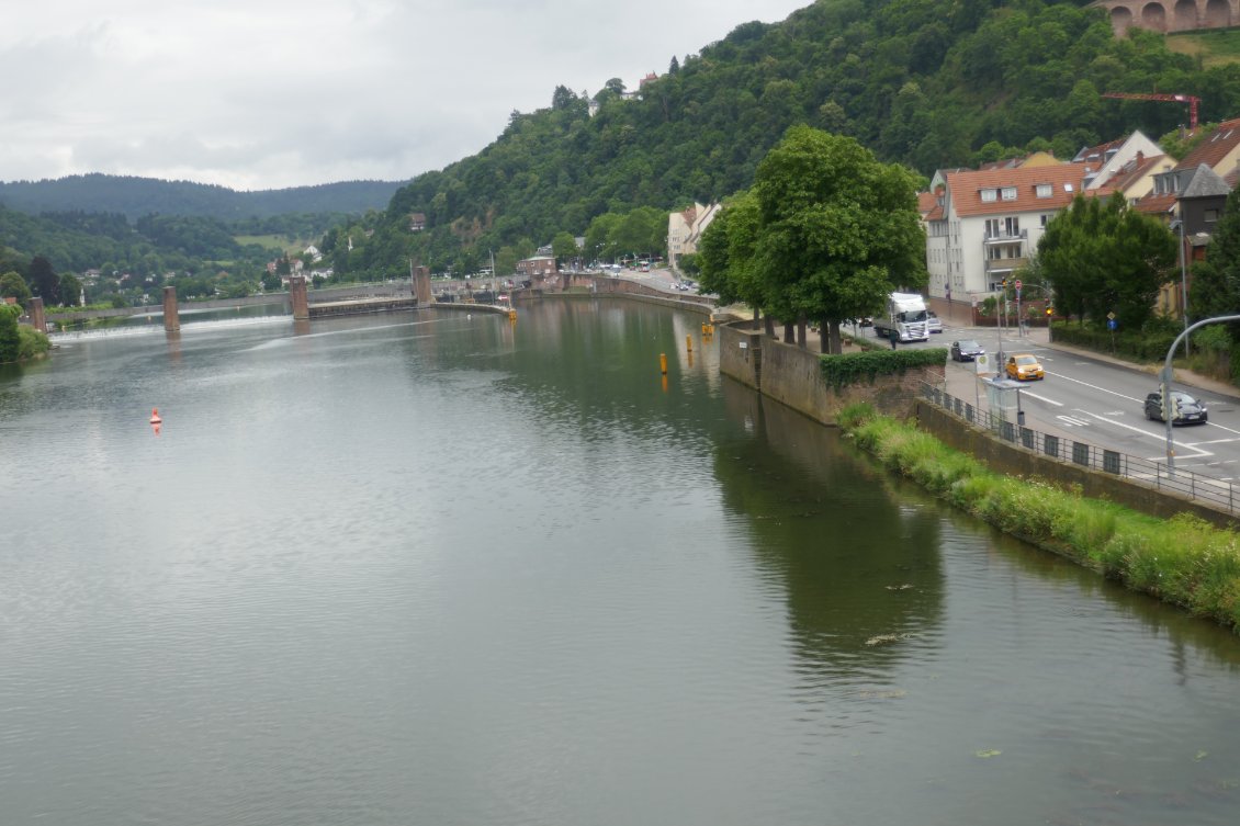 Le Neckar, que nous allons encore longer pendant un jour et demie