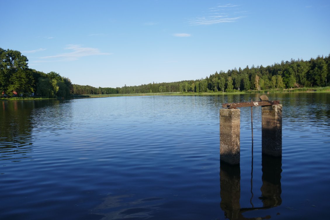 Balade au bord du lac. Ce soir nous serons bercés par les chants des batraciens.