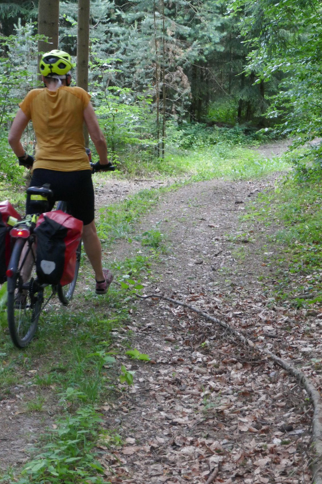 Cela devient un peu sentier mais reste cyclable.