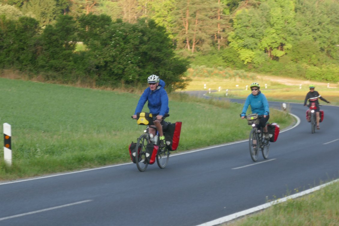 La piste forestière n'est pas loin.
