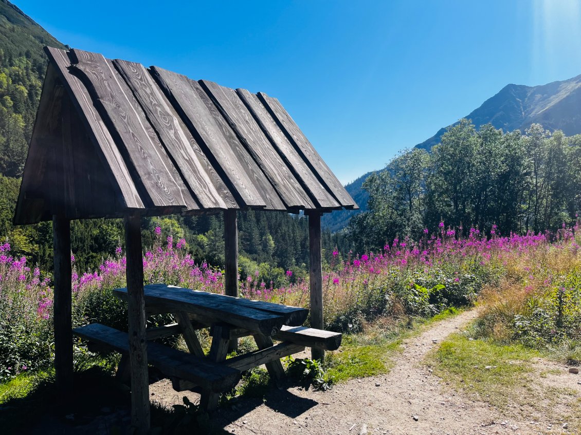 Petite table de pique-nique juste en face.